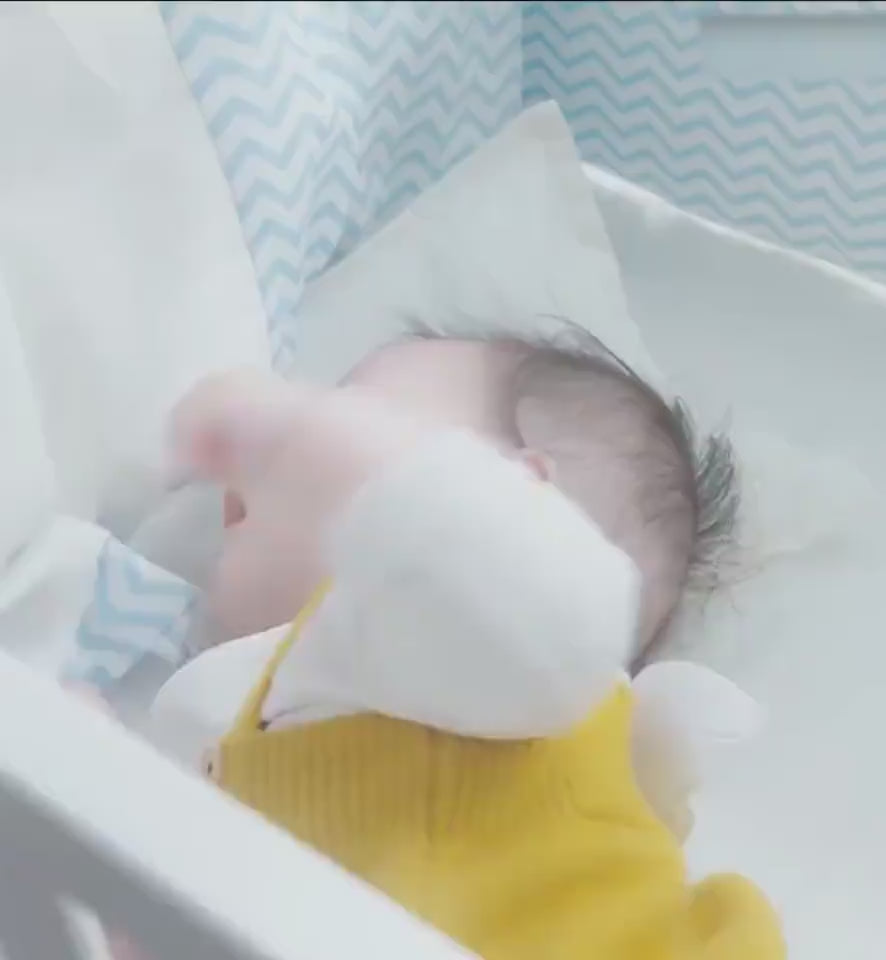 Baby Intelligent Heat Preservation Automatic Feedi
